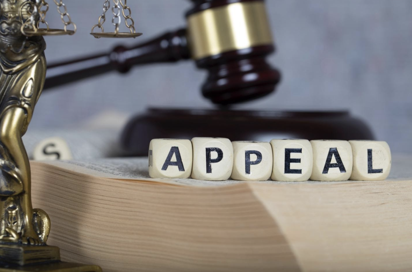 Word 'APPEAL' spelled out with letter blocks in front of a gavel and the scales of justice, symbolizing the judicial process of appealing a criminal case.